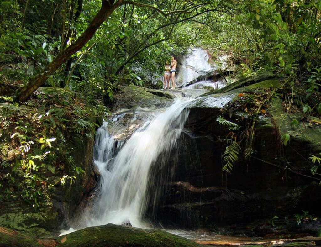 parque-nacional-da-tijuca-tem-recorde-de-visitantes,-com-quase-5-milhoes-de-visitantes-em-2025